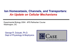 Ion Transport Proteins as Channels versus Carriers