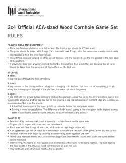 2x4 Official ACA-sized Wood Cornhole Game Set