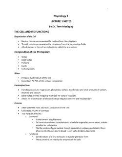 Physiology 1 LECTURE 1