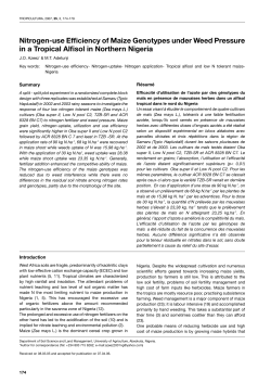 Nitrogen-use Efficiency of Maize Genotypes under