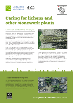 Caring for lichens and other stonework plants