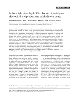 Is there light after depth? Distribution of periphyton chlorophyll and
