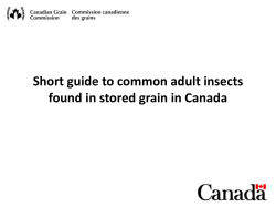 Short guide to common adult insects found in stored grain in Canada