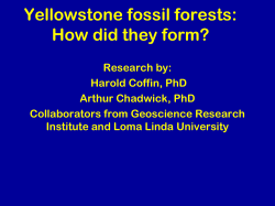 Fossil trees - Loma Linda University School of Medicine