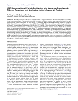 NMR Determination of Protein Partitioning into Membrane Domains