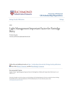 Light Management Important Factor for Partridge Berry