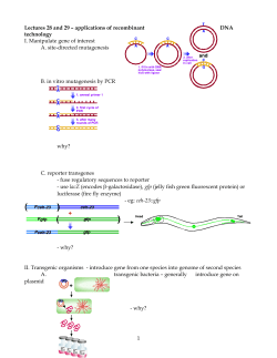 Applications of Recombinant DNA Technology