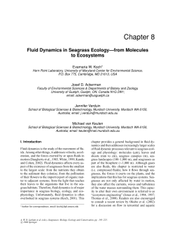 Fluid Dynamics in Seagrass Ecology&mdash;from Molecules to