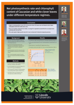 Net photosynthesis rate and chlorophyll content of Caucasian and