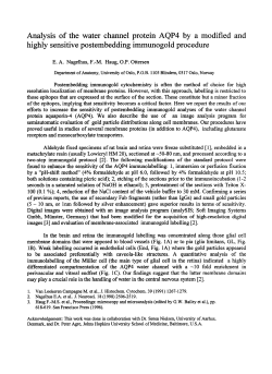 Analysis of the water channel protein AQP4 by a modified