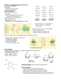 File - Manthey AP Biology