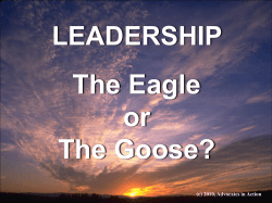 Leadership: The Eagle or the Goose?