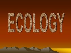 Omnivores may be primary or secondary consumers.