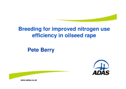 Breeding for improved nitrogen use efficiency in oilseed rape Pete
