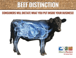 For more information on Beef Distinction feed