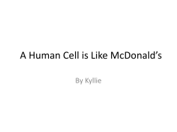 A Human Cell is Like McDonald*s