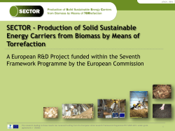 SECTOR - Production of Solid Sustainable Energy Carriers