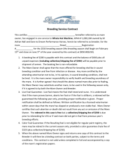 Breeding Service Contract - Dare To Dream Performance Horses
