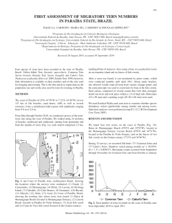 first assessment of migratory tern numbers in para&iacute;ba state, brazil