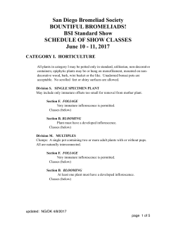 2017 SDBS Show Schedule.pages