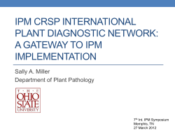 The Importance of Plant Disease Diagnostics in Food