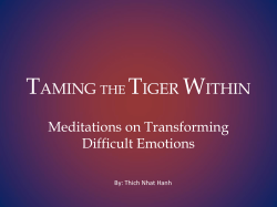 TAMING THE TIGER WITHIN