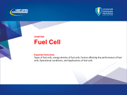 Fuel Cell