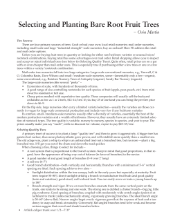 Selecting and Planting Bare Root Fruit Trees