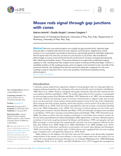 Mouse rods signal through gap junctions with cones | eLife