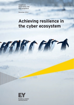 Achieving resilience in the cyber ecosystem