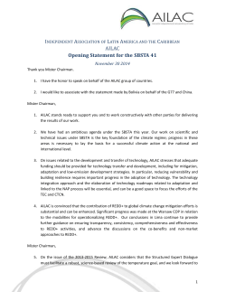 Opening Statement for the SBSTA 41