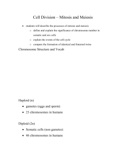 Cell Division * Mitosis and Meiosis
