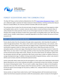 forest ecosystems and the carbon cycle
