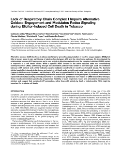 Lack of Respiratory Chain Complex I Impairs Alternative