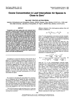 Ozone Concentration in Leaf Intercellular Air