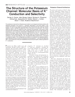 The Structure of the Potassium Channel