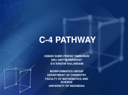 c-4 pathway