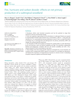 Fire, hurricane and carbon dioxide: effects on net primary production