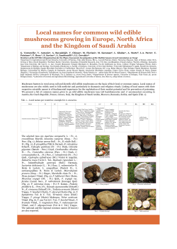 local names of edigle Fungi - Organization for the Phyto