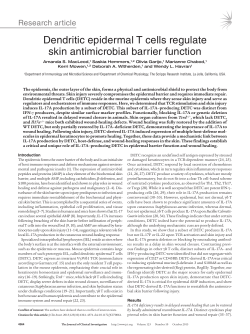 Dendritic epidermal T cells regulate skin