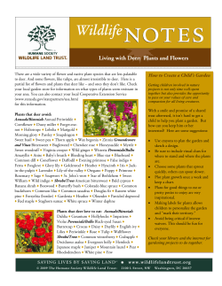 Living with Deer: Plants and Flowers