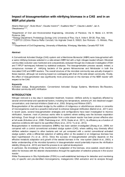 Impact of bioaugmentation with nitrifying biomass in a CAS and in