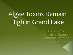 Algae Toxins Remain High in Grand Lake