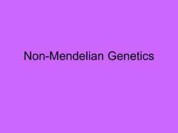 Incomplete Dominance Codominance Multiple Alleles
