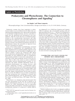 Prokaryotes and Phytochrome. The Connection to