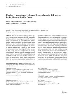 Feeding ecomorphology of seven demersal marine fish species in