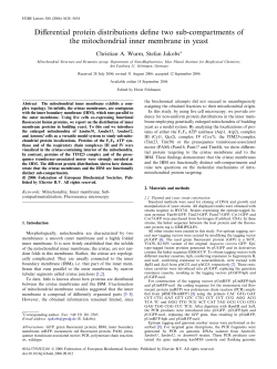 Differential protein distributions define two sub