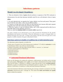 Inheritance patterns(Bashdar)