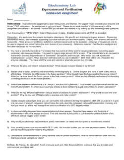 Expression and Purification Problem Set