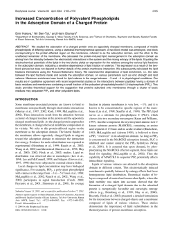 Increased Concentration of Polyvalent Phospholipids in the